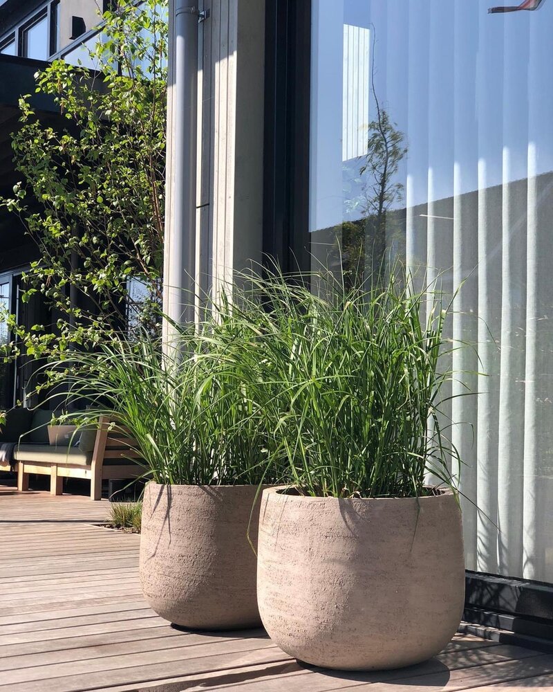 DOMANI GRAZ | Gris naturel DOMANI GRAZ | Gris naturel