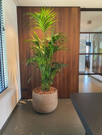 DOMANI GRAZ | Natürlicher Sand DOMANI GRAZ | Natürlicher Sand