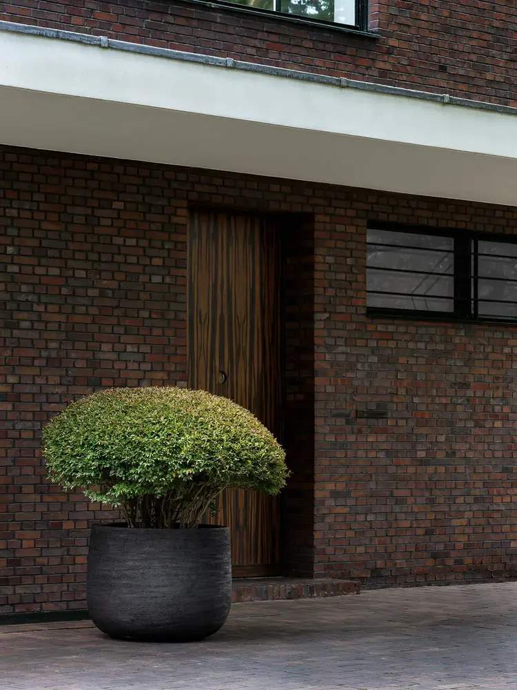 DOMANI GRAZ | Natural Black DOMANI GRAZ | Natural Black