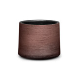 DOMANI L'AVANA | Prugna DOMANI L'AVANA | Prugna