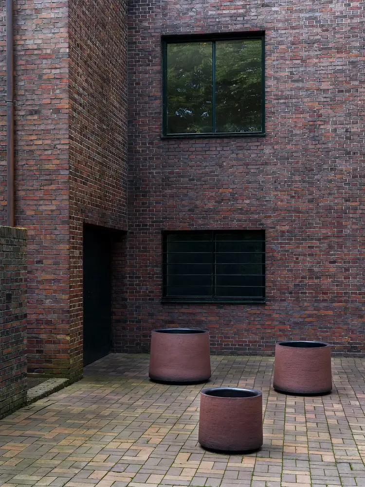 DOMANI HAVANNA | Pflaume DOMANI HAVANNA | Pflaume