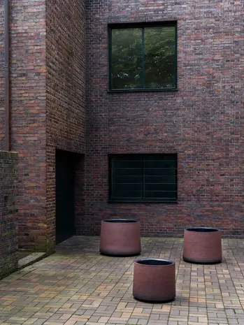 DOMANI HAVANA | Plomme