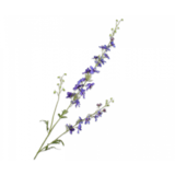 SILK-KA Delphinium Branche Bleue | 122 cm