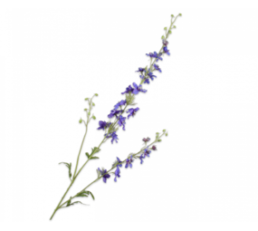 SILK-KA Delphinium Branche Bleue | 122 cm SILK-KA Delphinium Branche Bleue | 122 cm