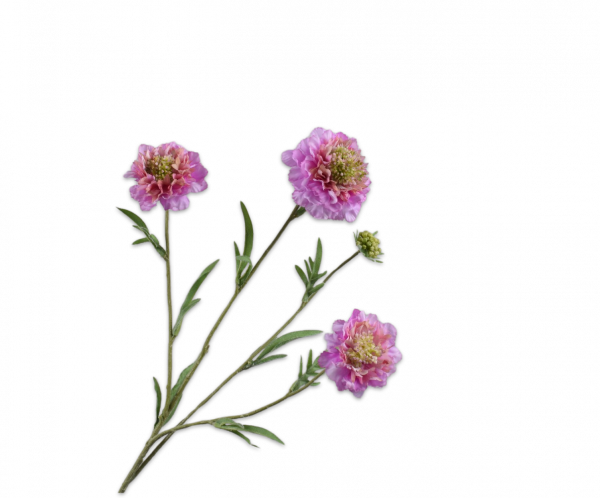 SILK-KA Scabiosa-gren lavendel EKTE PRØVE | 80 cm SILK-KA Scabiosa-gren lavendel EKTE PRØVE | 80 cm