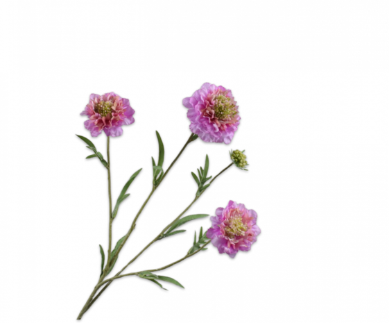 SILK-KA Scabiosa-gren lavendel EKTE PRØVE | 80 cm SILK-KA Scabiosa-gren lavendel EKTE PRØVE | 80 cm