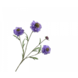 SILK-KA Scabiosa Tak Blauw REAL TOUCH | 80 cm SILK-KA Scabiosa Tak Blauw REAL TOUCH | 80 cm