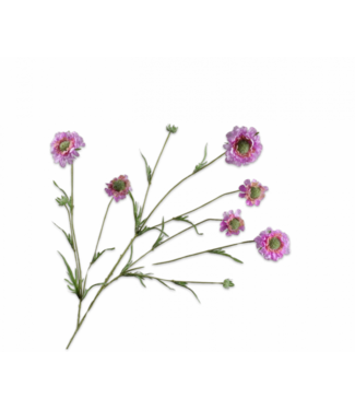 SILK-KA Branche de Scabiosa Rose REAL TOUCH | 120 cm