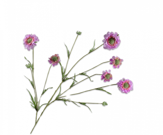 SILK-KA Scabiosa-gren rosa EKTE BERØRING | 120 cm SILK-KA Scabiosa-gren rosa EKTE BERØRING | 120 cm