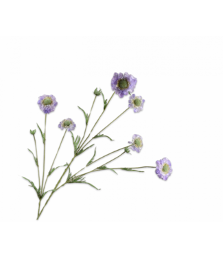 SILK-KA Rama de Scabiosa Azul/Verde TOQUE REAL | 120 centímetros