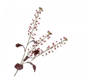 SILK-KA Primula-gren rosa | 111 cm