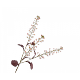 SILK-KA Primelnzweig Creme/Rosa | 111 cm SILK-KA Primelnzweig Creme/Rosa | 111 cm