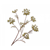 SILK-KA Branche d'aneth verte | 105 cm