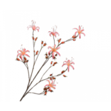 SILK-KA Nypegren Laks | 130 cm