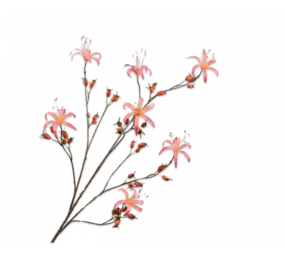 SILK-KA Nypegren Laks | 130 cm