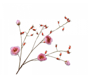 SILK-KA Nypegren Rosa LT REAL TOUCH | 106 cm SILK-KA Nypegren Rosa LT REAL TOUCH | 106 cm