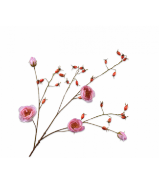 SILK-KA Rama de rosa mosqueta rosa LT REAL TOUCH | 106 cm