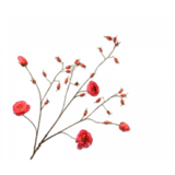 SILK-KA Branche d'églantier rose DK REAL TOUCH | 106 cm