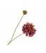 SILK-KA Zinnienzweig Mauve/Grün REAL TOUCH | 62 cm