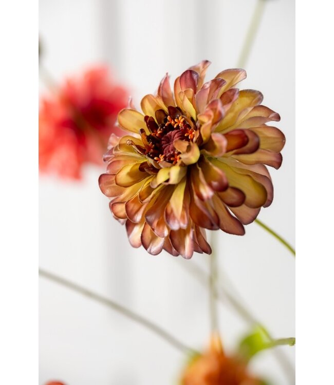 SILK-KA Branche de Zinnia Vert/Bordeaux REAL TOUCH | 62 cm