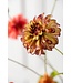 SILK-KA Zinnia Tak Groen/Bordeaux REAL TOUCH | 62 cm