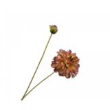 SILK-KA Branche de Zinnia Vert/Bordeaux REAL TOUCH | 62 cm SILK-KA Branche de Zinnia Vert/Bordeaux REAL TOUCH | 62 cm