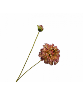 SILK-KA Zinnia-gren Grønn/Bordeaux REAL TOUCH | 62 cm