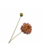 SILK-KA Zinnia Branch Green/Bordeaux REAL TOUCH | 62 cm
