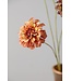 SILK-KA Zinnia Tak CR/PRS REAL TOUCH | 62 cm