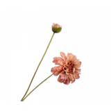 SILK-KA Ramo di Zinnia CR/PRS REAL TOUCH | 62 cm