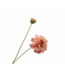 SILK-KA Zinnia Tak CR/PRS REAL TOUCH | 62 cm