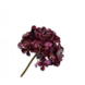 SILK-KA Hydrangea Steel Bordeaux REAL TOUCH | 63 cm SILK-KA Hydrangea Steel Bordeaux REAL TOUCH | 63 cm