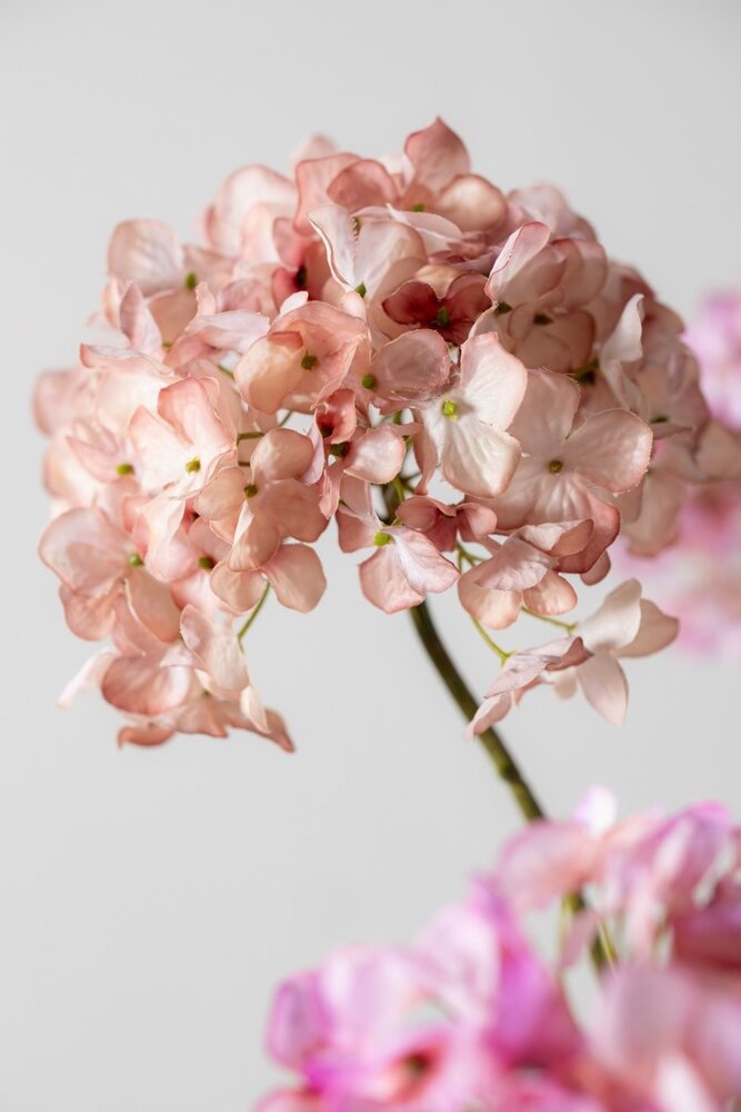SILK-KA Hortensia Stållilla REAL TOUCH | 63 cm SILK-KA Hortensia Stållilla REAL TOUCH | 63 cm