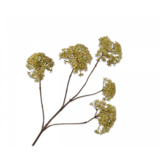 SILK-KA Dille Tak Groen | 107 cm