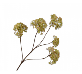 SILK-KA Dillgren Grønn | 107 cm