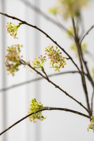 SILK-KA Spirea-gren grønn | 116 cm SILK-KA Spirea-gren grønn | 116 cm