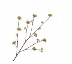 SILK-KA Rama de espirea verde | 116 cm