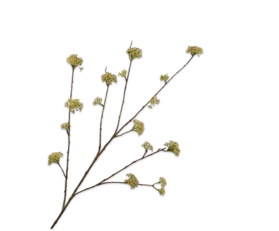 SILK-KA Spirea-gren grønn | 116 cm SILK-KA Spirea-gren grønn | 116 cm