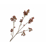 SILK-KA Bjørnebærgren lilla | 107 cm