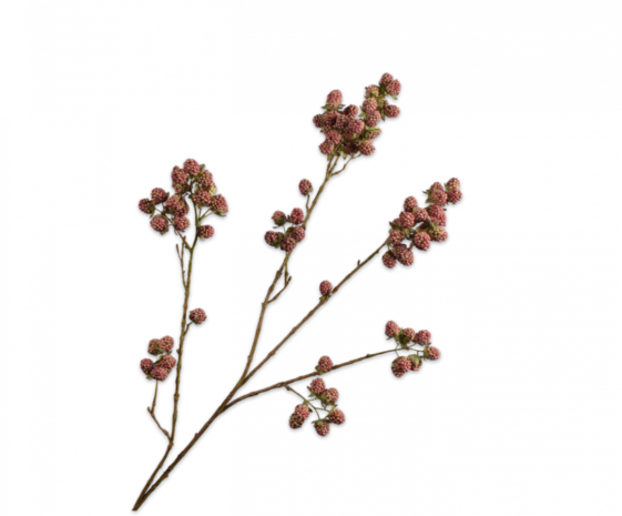 SILK-KA Bjørnebærgren lilla | 107 cm SILK-KA Bjørnebærgren lilla | 107 cm