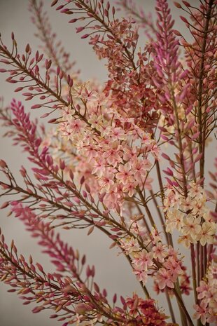 SILK-KA Eremurus stålkrem | 107 cm SILK-KA Eremurus stålkrem | 107 cm