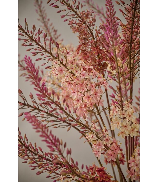 SILK-KA Eremurus Steel Creme | 107 cm