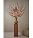 SILK-KA Eremurus Steel Creme | 107 cm