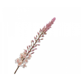 SILK-KA Eremurus Acier Crème | 107 cm SILK-KA Eremurus Acier Crème | 107 cm