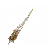 SILK-KA Eremurus Acier Violet/Vert | 161 cm