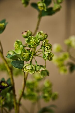 SILK-KA Helleborus-Zweig grün | 100 cm SILK-KA Helleborus-Zweig grün | 100 cm