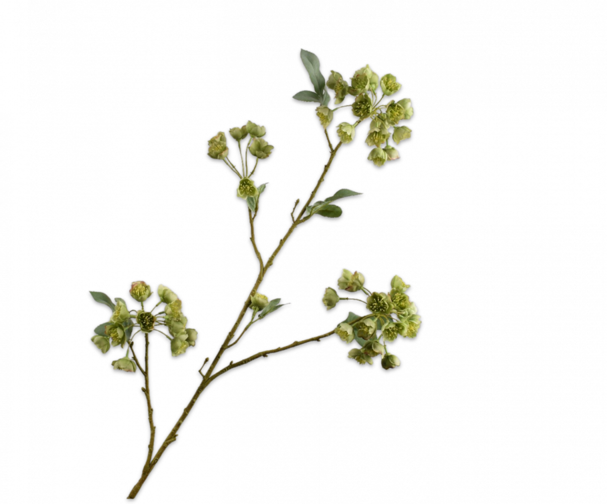 SILK-KA Branche d'Helleborus Vert | 100 cm SILK-KA Branche d'Helleborus Vert | 100 cm