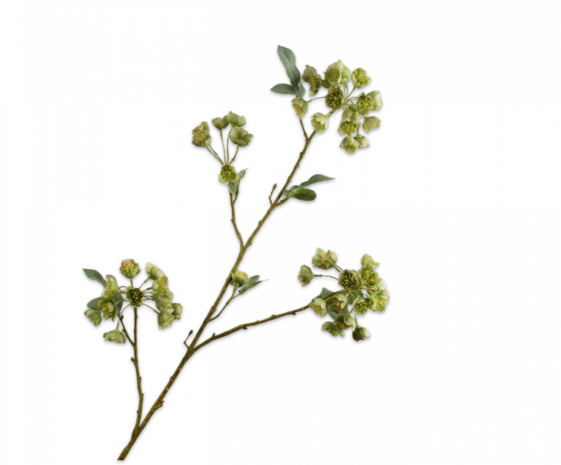 SILK-KA Helleborus-Zweig grün | 100 cm SILK-KA Helleborus-Zweig grün | 100 cm