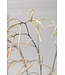 SILK-KA Grass Branch Cream/Pink | 131 cm