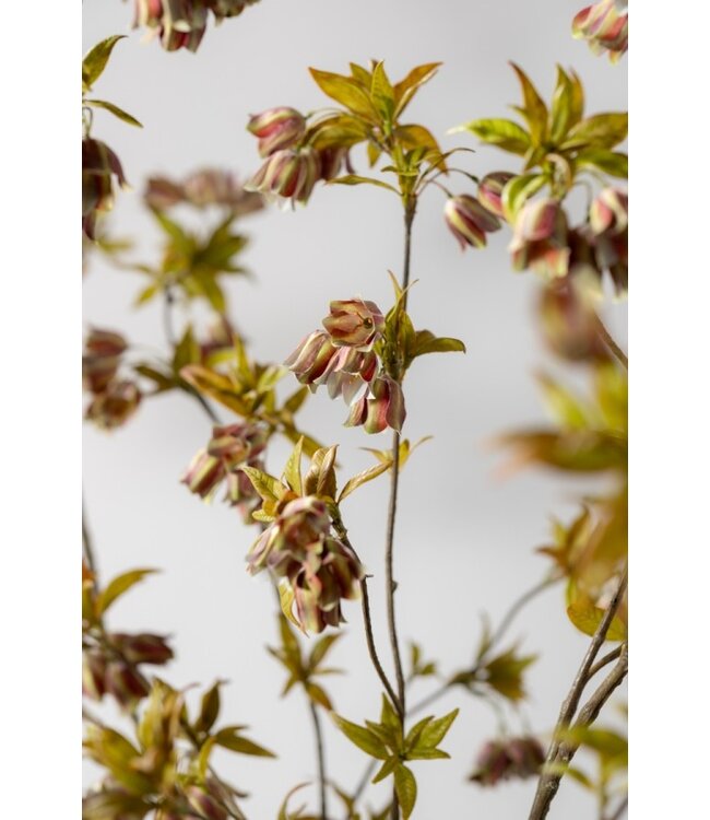 SILK-KA Ramo di campanula verde/marrone | 112 cm